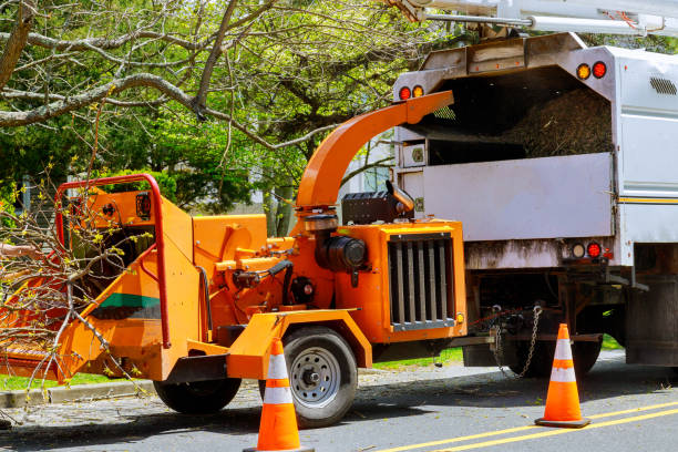 Best Commercial Tree Services  in Clare, MI